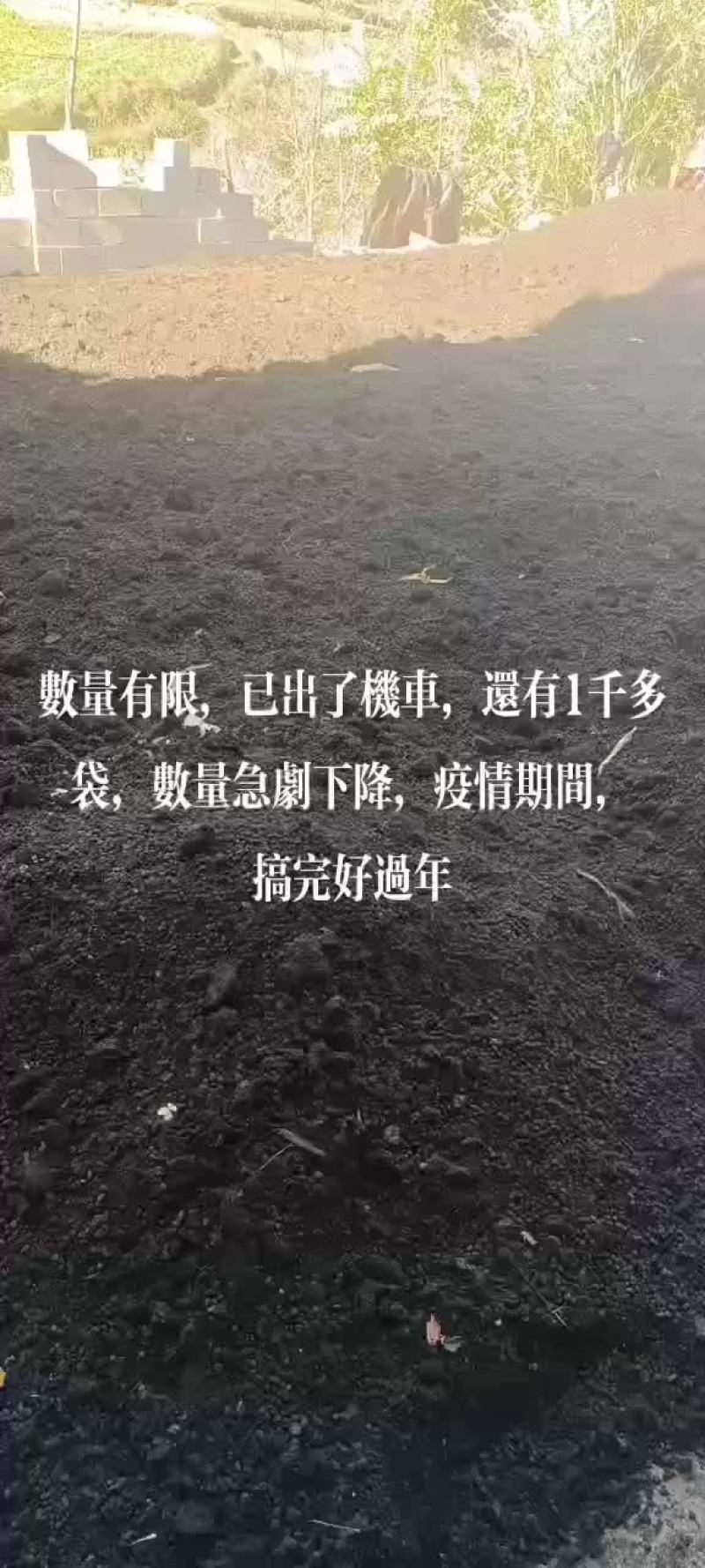 高质量有机纯羊粪蛋
