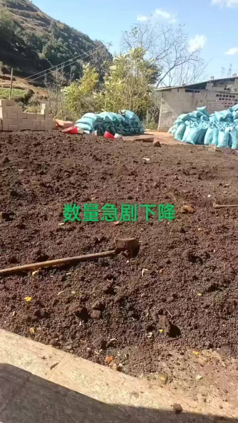 高质量有机纯羊粪蛋
