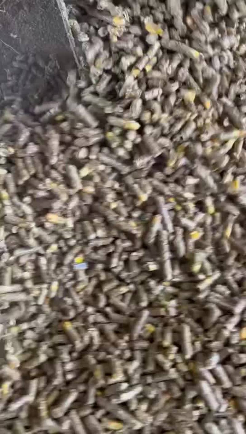 玉米花生秧