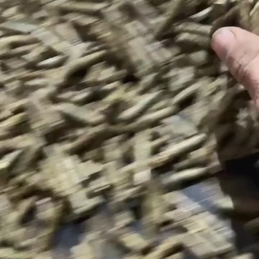 玉米花生秧