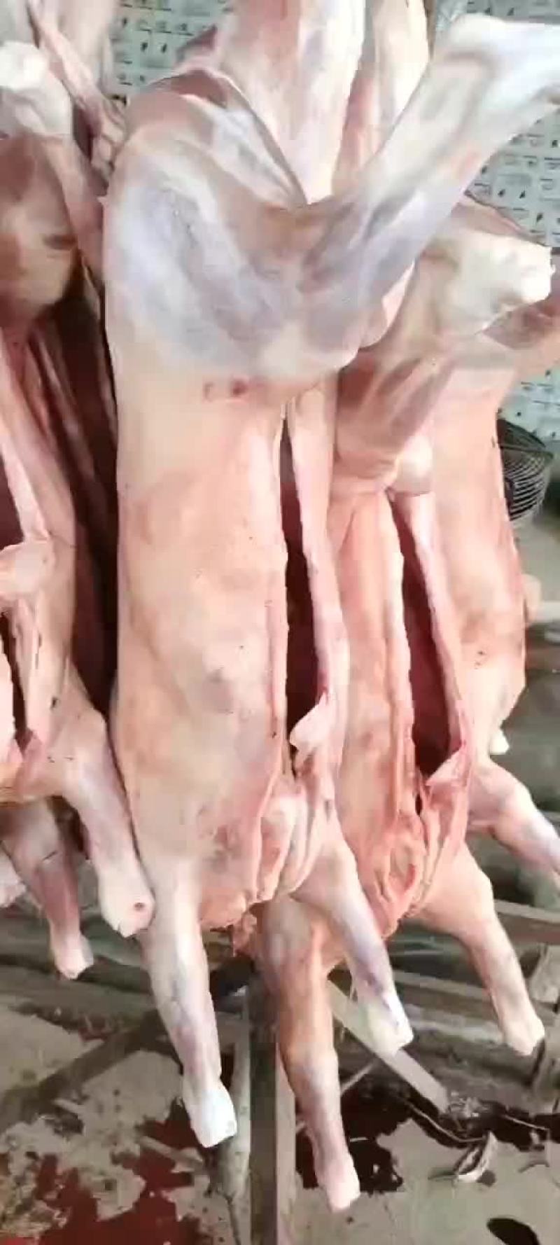 烤全羊，专用7-22斤，量大，现宰新鲜，全国配送，大小规