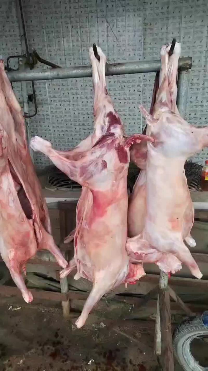 带皮白条，扒皮羊白条，全国配送，纯干无水，大小规格，