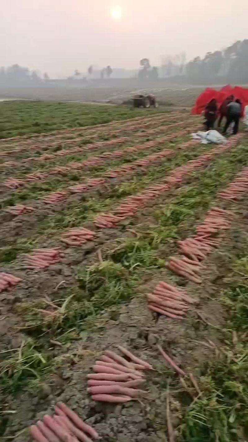 基地货，物美价廉
