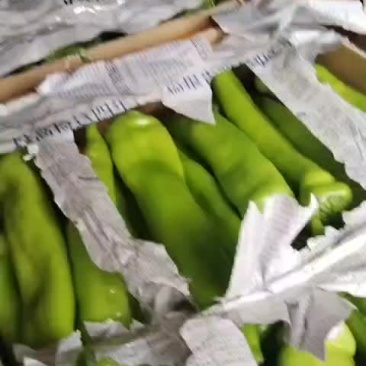 黄皮椒精品