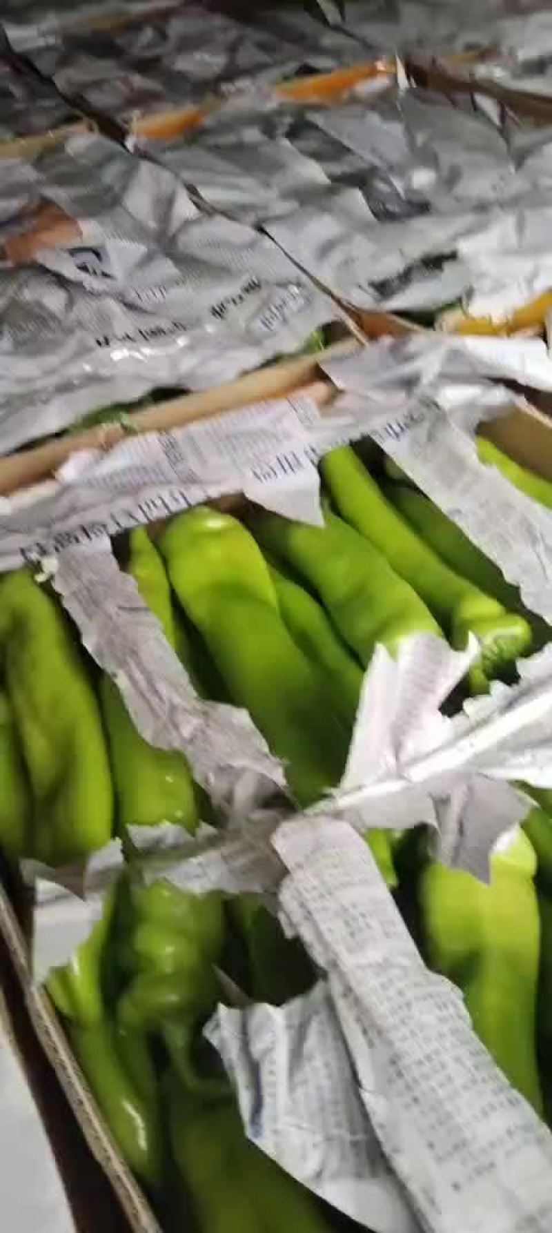 黄皮椒精品