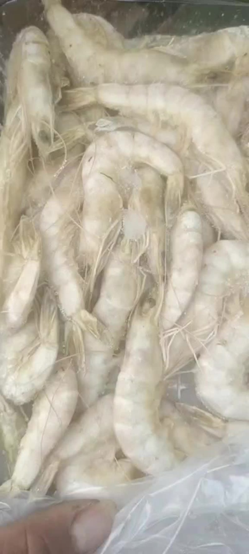 大虾