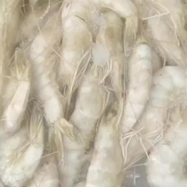 大虾