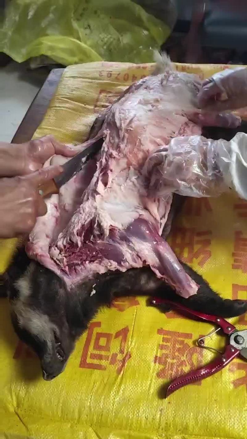 獾子油
