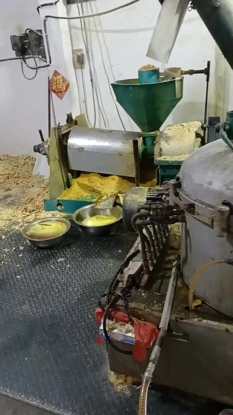 非转基因黄豆粉