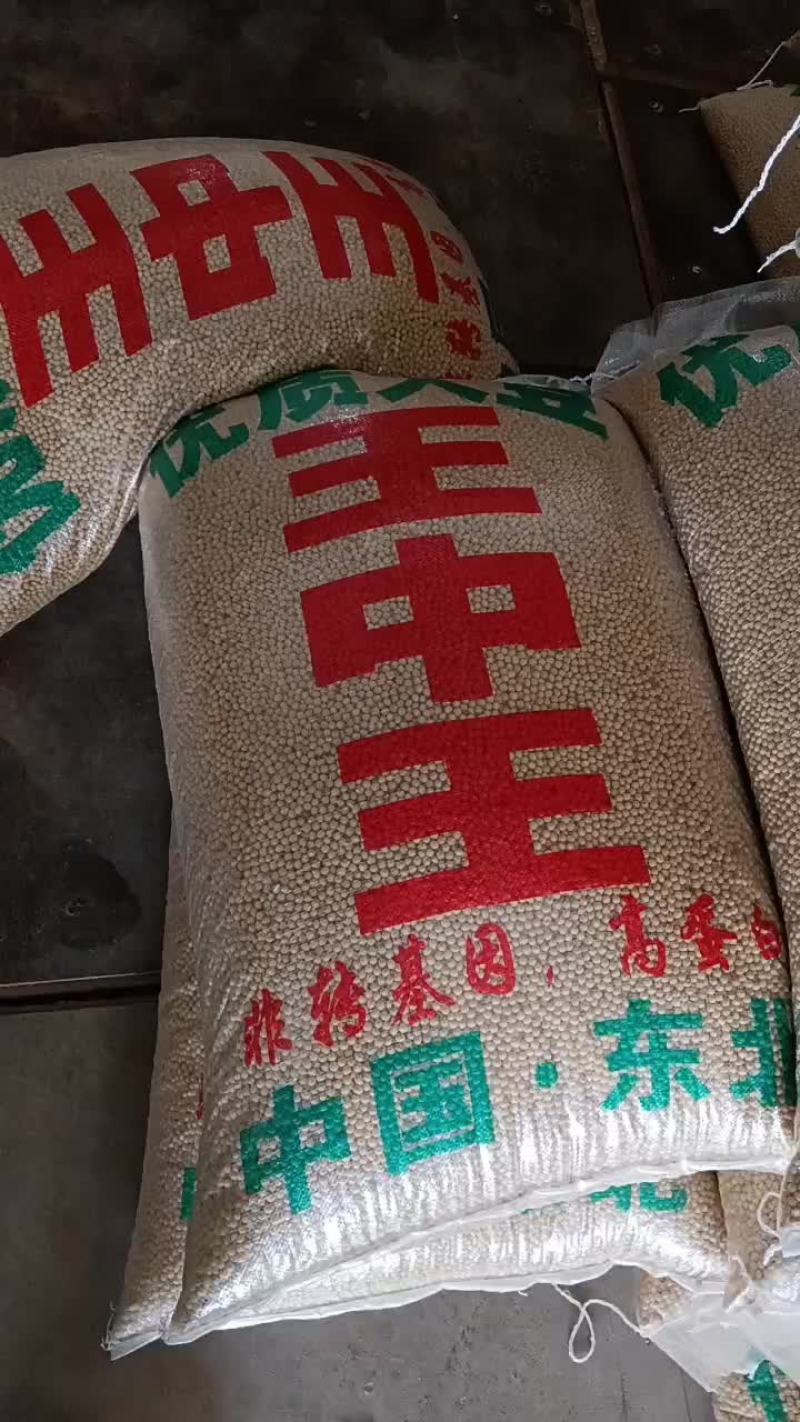 非转基因黄豆粉