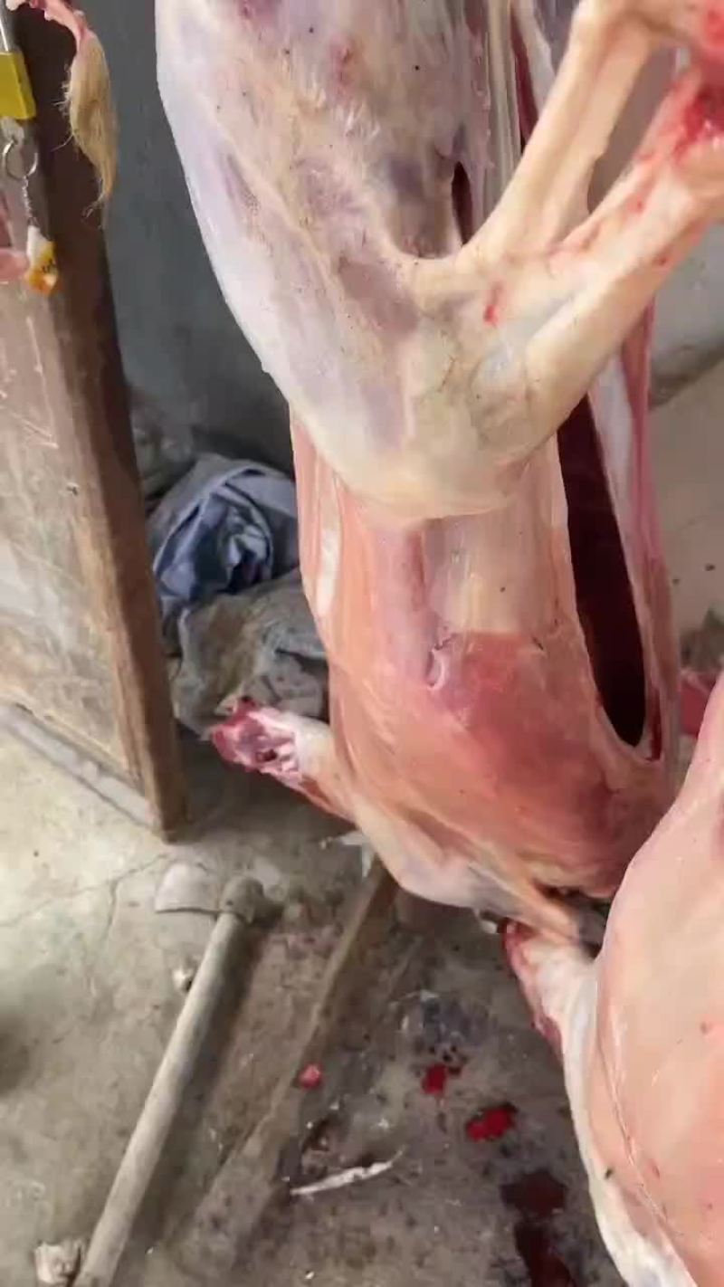 扒皮，带皮，羊白条，纯干无水，大小规格，正规屠宰厂，量大