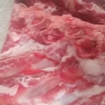 多肉牛骨头