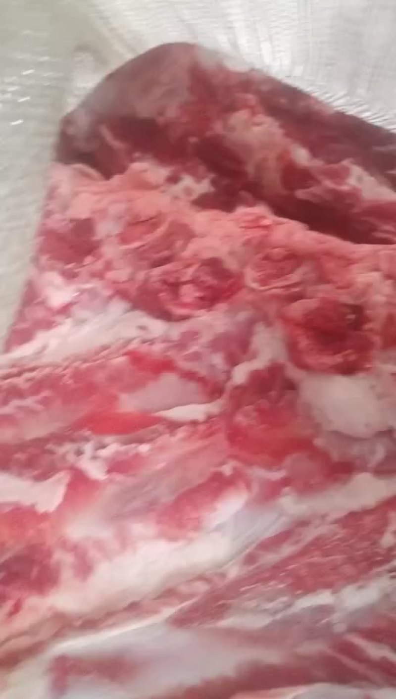 多肉牛骨头