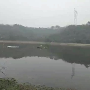 一百七十亩水库卖断纪营权