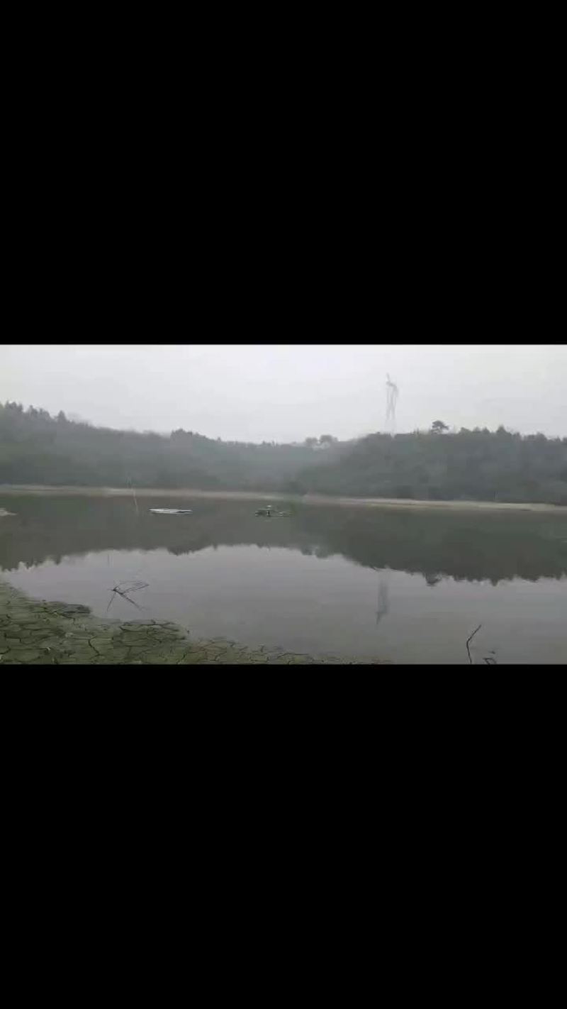 一百七十亩水库卖断纪营权
