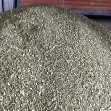槐米新货上架