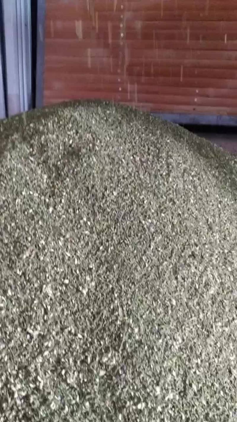 槐米新货上架