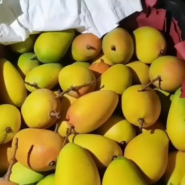精品台芒