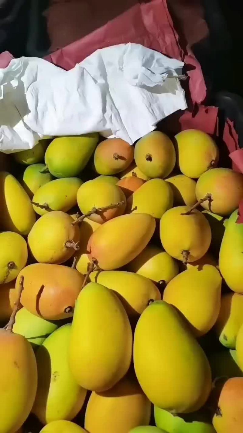 精品台芒