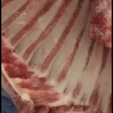 羔羊排