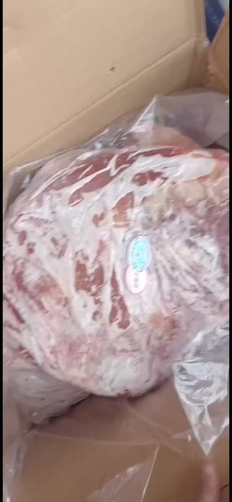 羔羊排