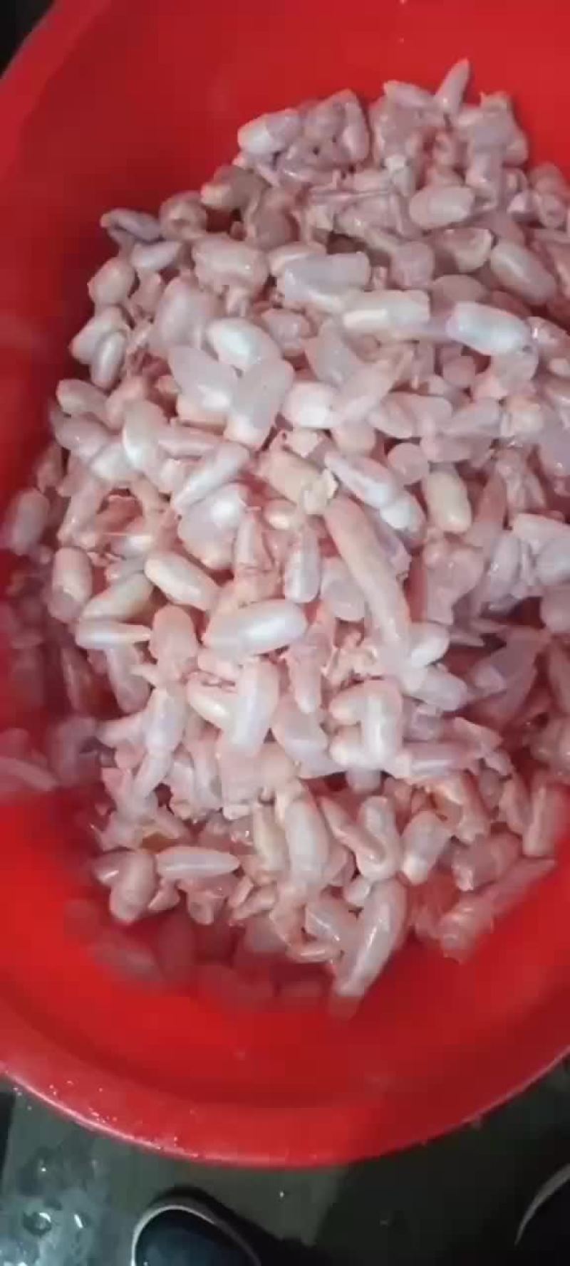 新鲜鱼泡