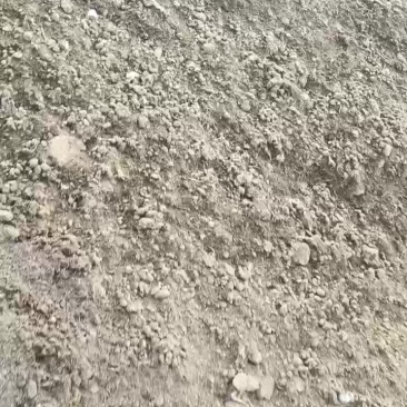 优质发酵兔粪