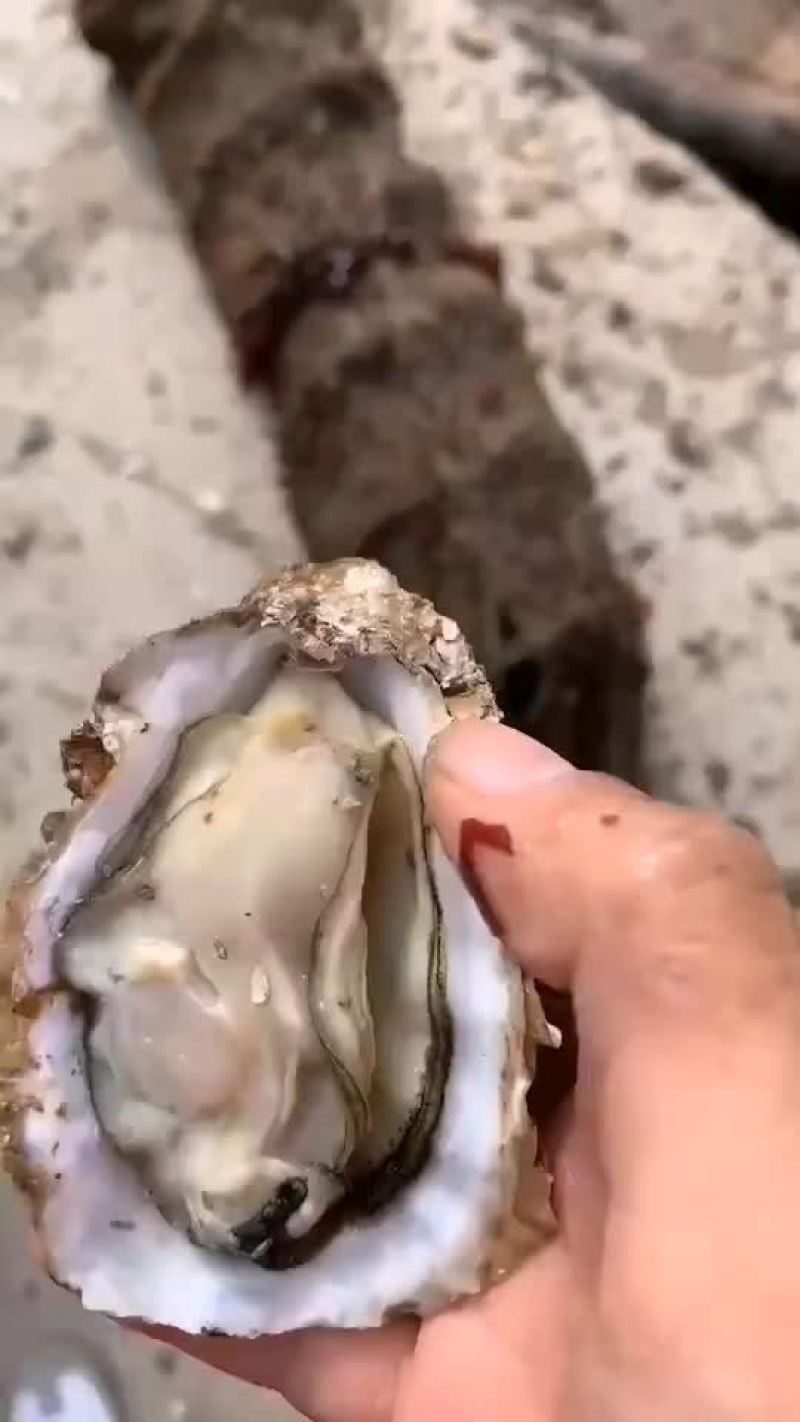 规格齐全