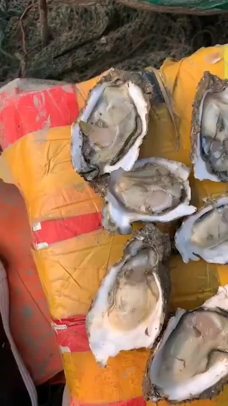 规格齐全