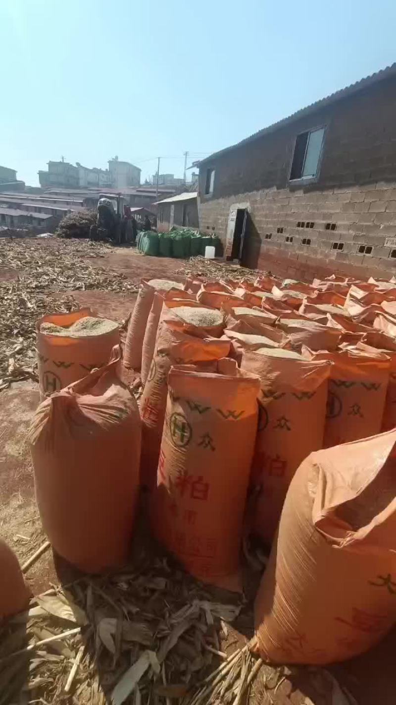 牛羊草料