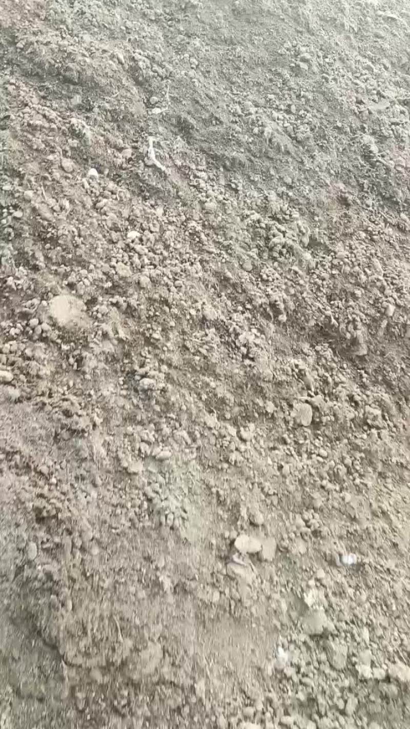 优质兔粪出货