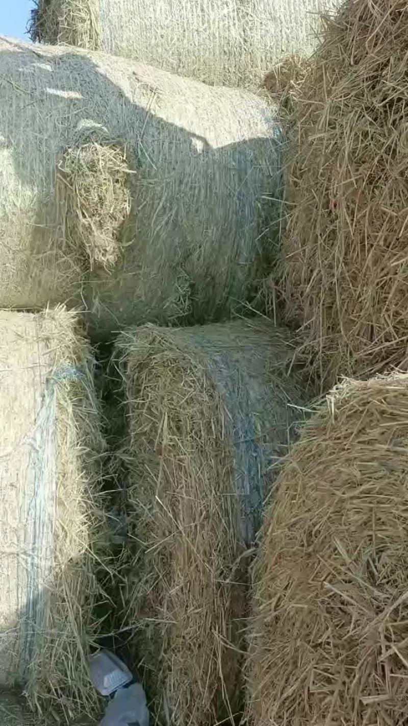 稻草，菌草，蘑菇草，纤维草，质量好，需要的联系