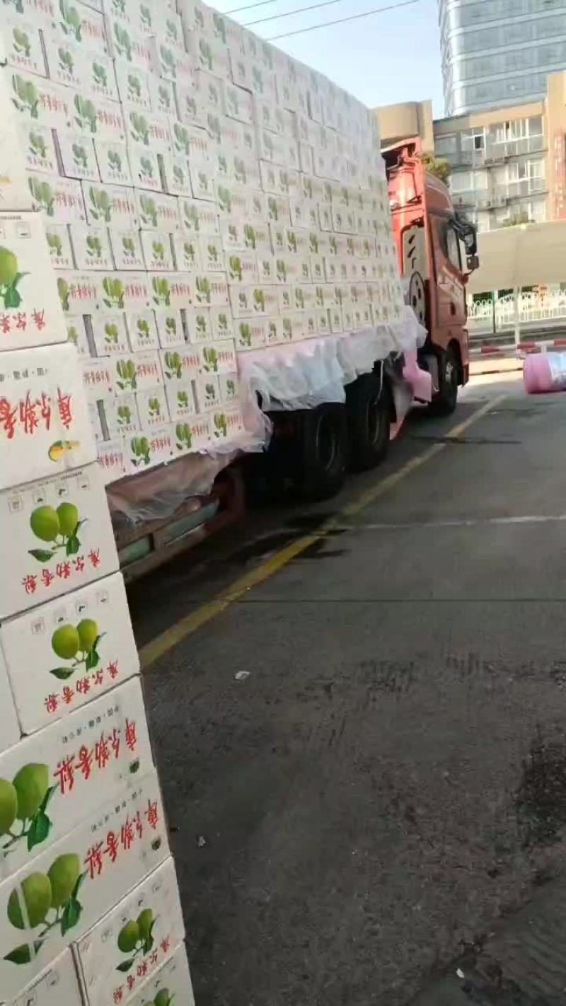 正宗库尔勒香梨大量有货
