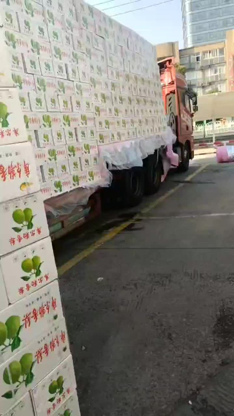 正宗库尔勒香梨大量有货