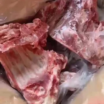 一级前排