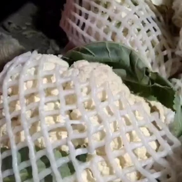 精品花
