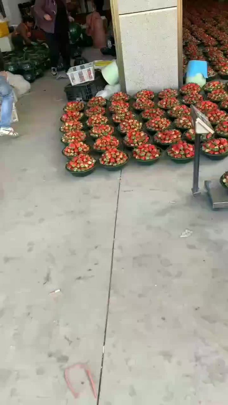 专业水果批发，赶集，商超，高中低摆摊货源。样样便宜