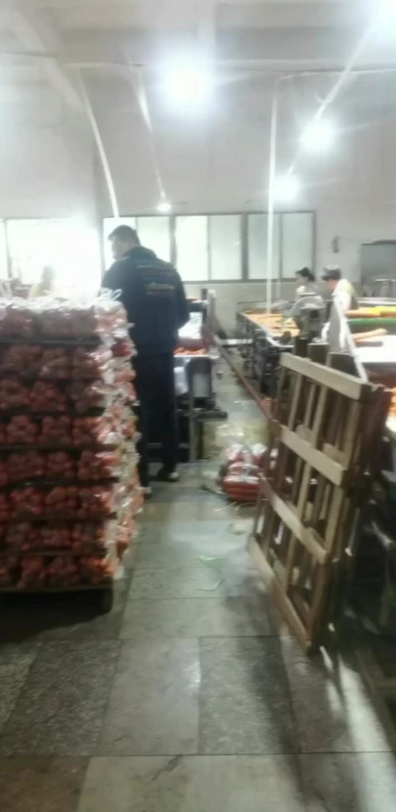 精品厦门胡萝卜