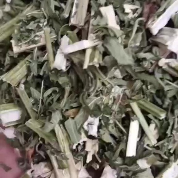 益母草