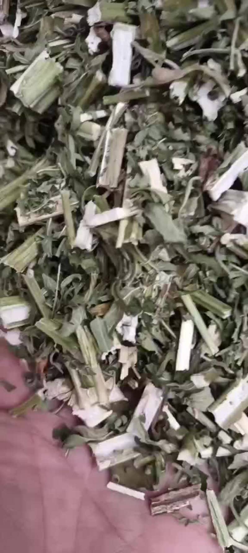 益母草