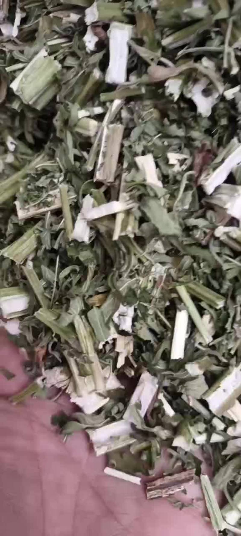 益母草