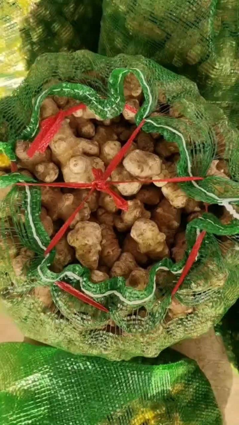 洋姜(沙地种植)。量大得很。
