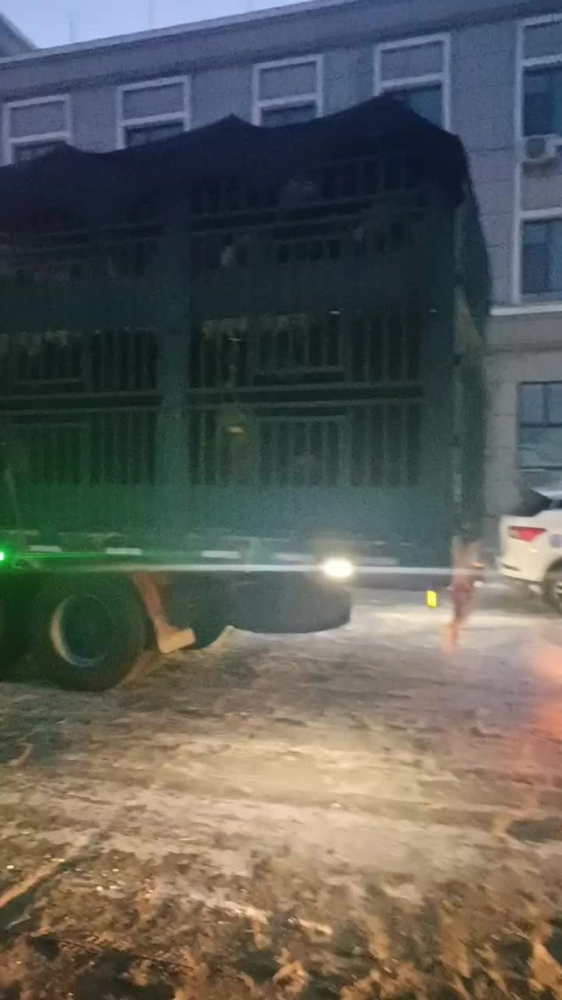 过渡公牛