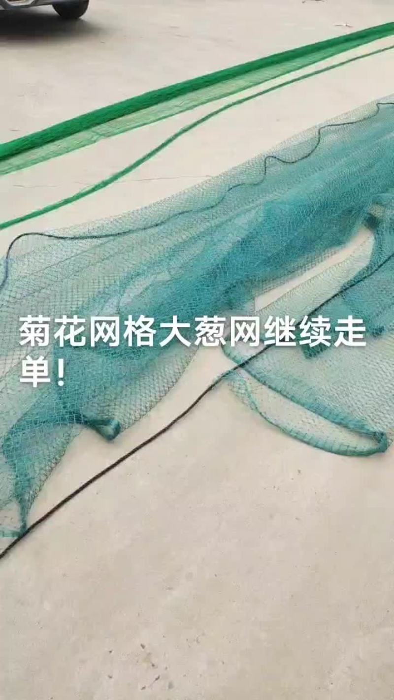 大进口拦河网定制中