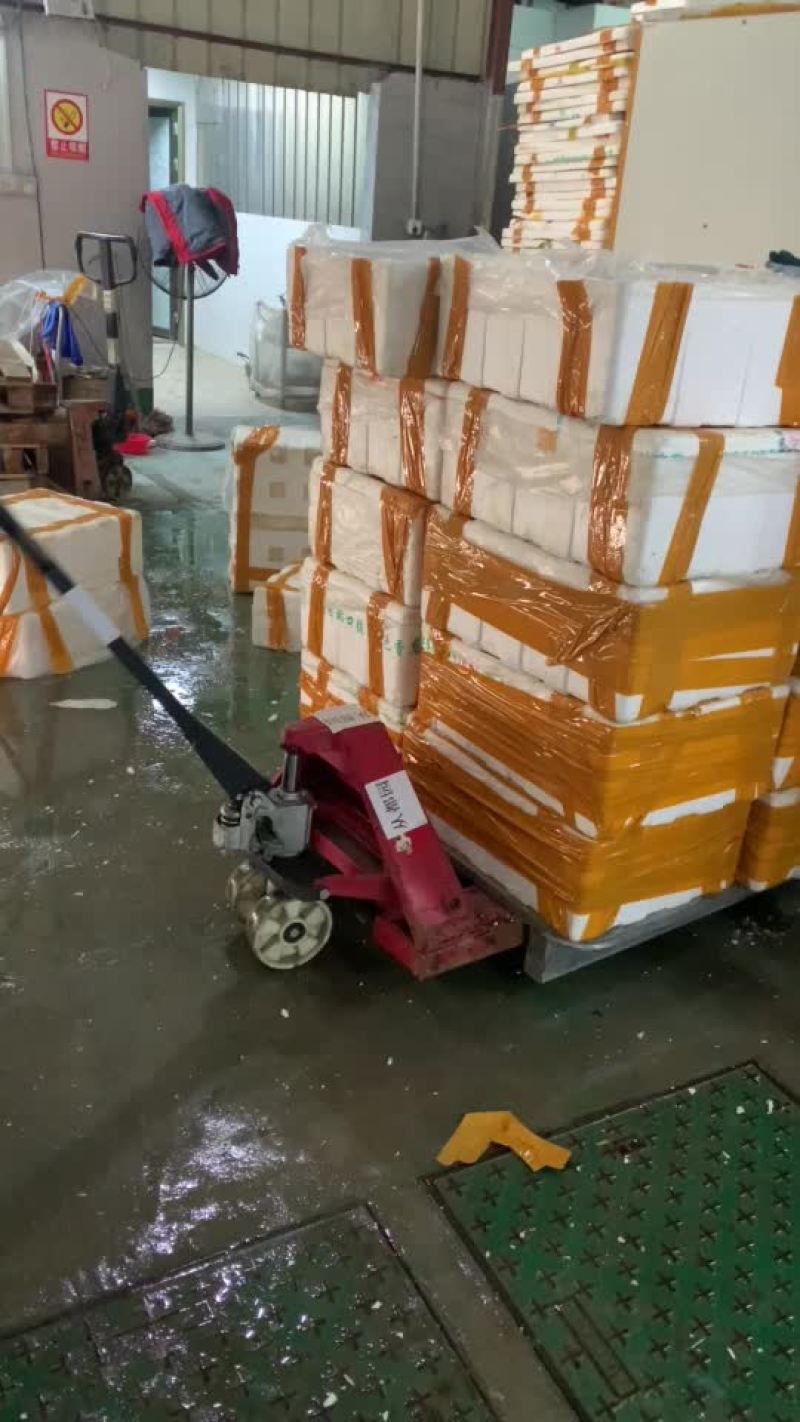 娃娃鱼到货，价格美丽，5斤起批发价