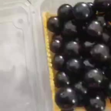 鲜果上市了，清甜可口，美味极了，欢迎下单联系