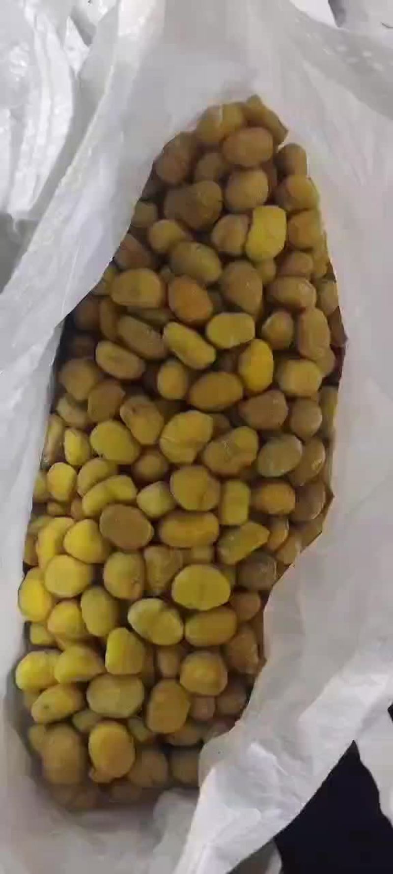 栗米（迁西板栗，遵化板栗）