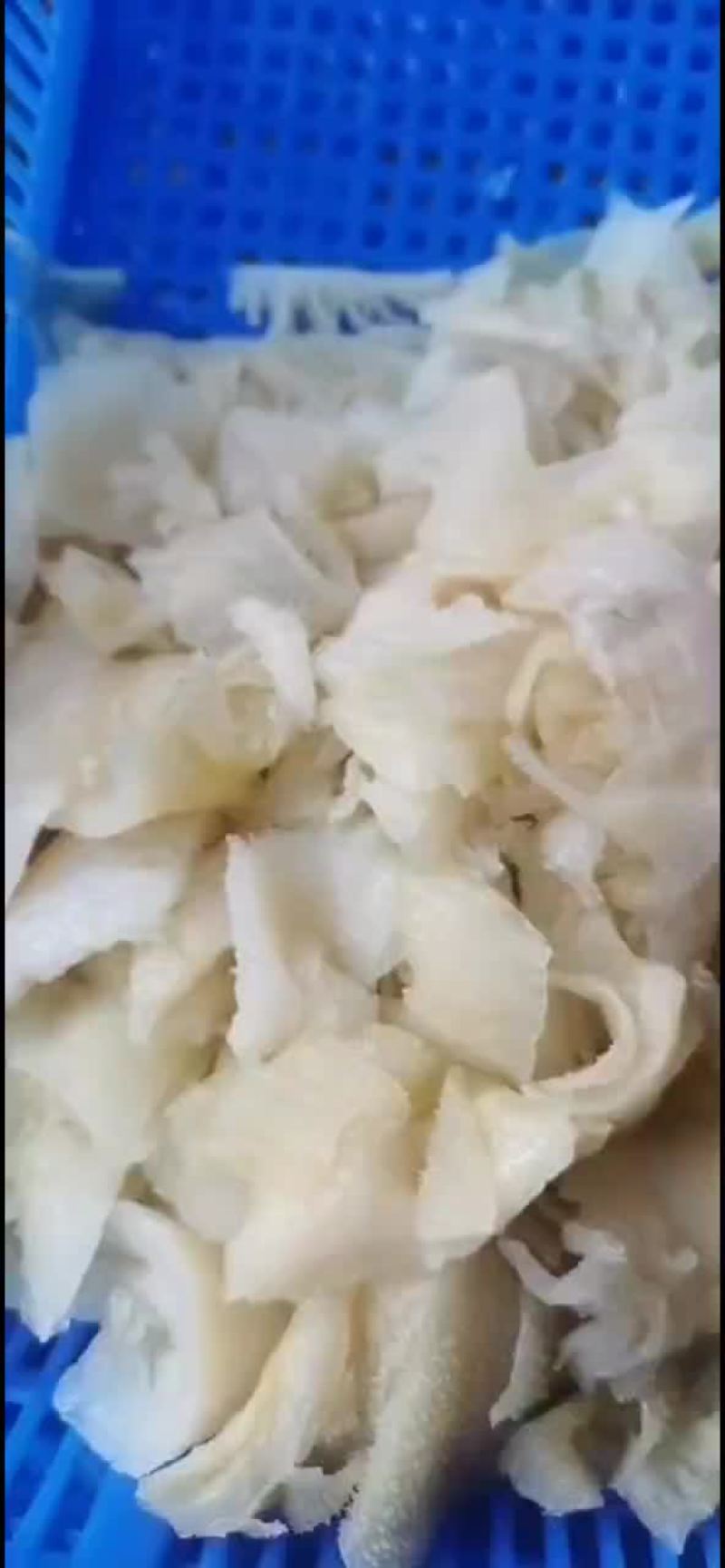 白色毛肚头子，便宜靓货，串串凉拌冒菜，粉面馆，爆肚用处广