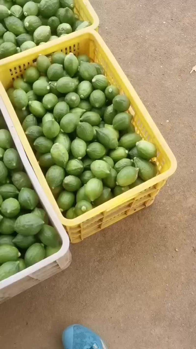 广东香水柠檬