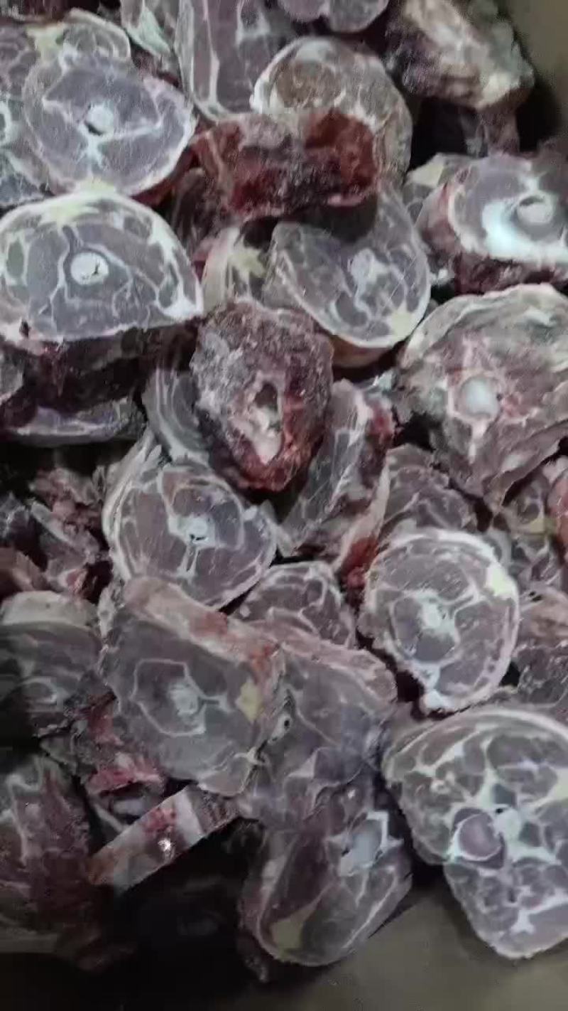 羔羊满肉羊脖